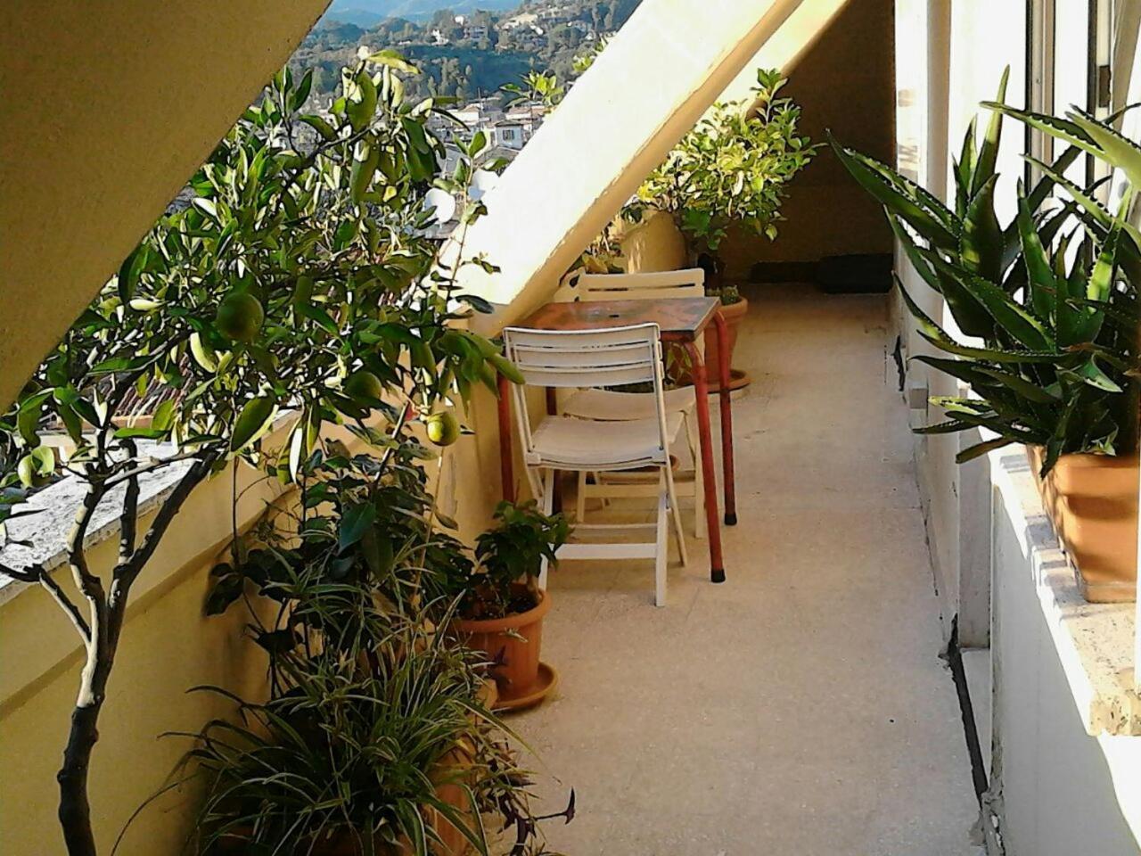 Bed and Breakfast A Casa Di Lola Ascoli Piceno Zewnętrze zdjęcie