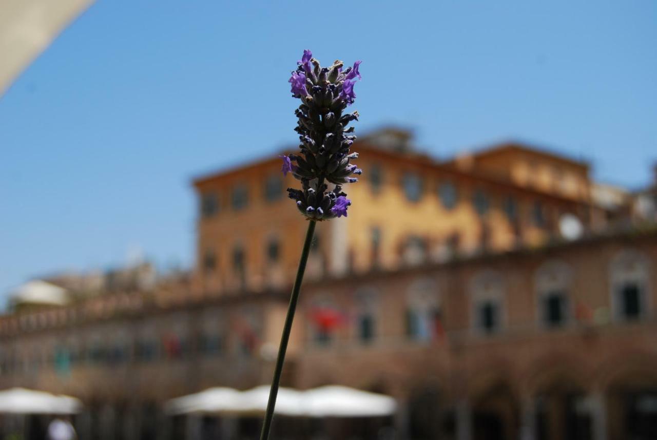 Bed and Breakfast A Casa Di Lola Ascoli Piceno Zewnętrze zdjęcie